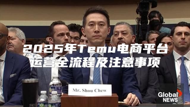 2025年Temu电商平台运营全流程及注意事项