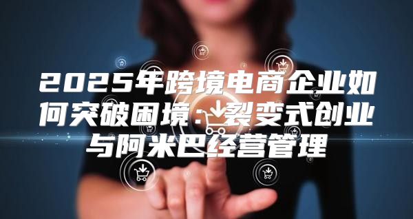 2025年跨境电商企业如何突破困境：裂变式创业与阿米巴经营管理