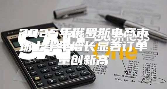 2025年俄罗斯电商市场上半年增长显著订单量创新高
