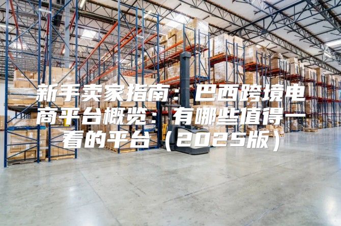 新手卖家指南：巴西跨境电商平台概览：有哪些值得一看的平台2025版