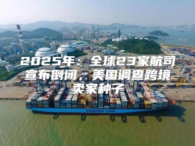 2025年：全球23家航司宣布倒闭，美国调查跨境卖家种子