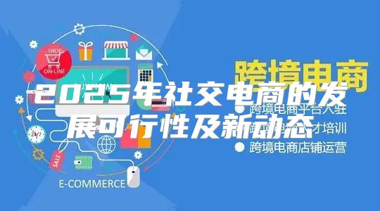2025年社交电商的发展可行性及新动态