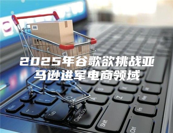 2025年谷歌欲挑战亚马逊进军电商领域