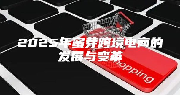 2025年蜜芽跨境电商的发展与变革