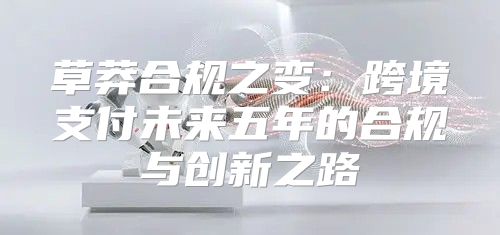 草莽合规之变：跨境支付未来五年的合规与创新之路