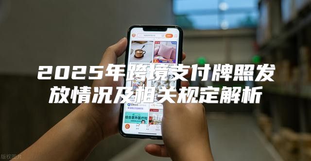 2025年跨境支付牌照发放情况及相关规定解析
