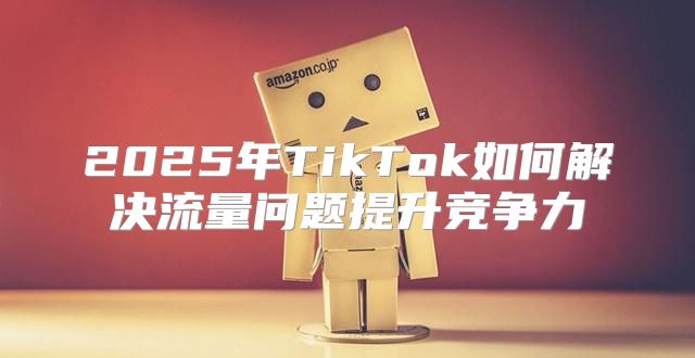 2025年TikTok如何解决流量问题提升竞争力