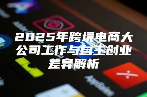 2025年跨境电商大公司工作与自主创业差异解析