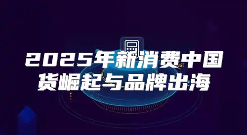 2025年新消费中国货崛起与品牌出海
