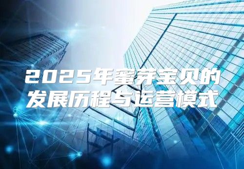 2025年蜜芽宝贝的发展历程与运营模式