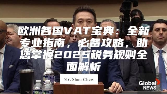 欧洲各国VAT宝典：全新专业指南，必备攻略，助您掌握2025税务规则全面解析