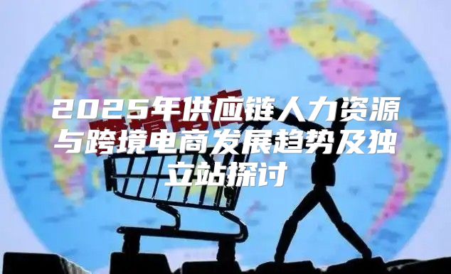 2025年供应链人力资源与跨境电商发展趋势及独立站探讨