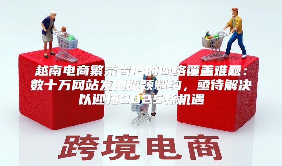 越南电商繁荣背后的网络覆盖难题：数十万网站发展瓶颈制约，亟待解决以迎接2025新机遇