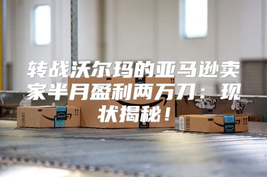 转战沃尔玛的亚马逊卖家半月盈利两万刀：现状揭秘！