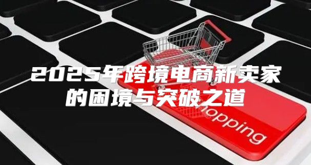 2025年跨境电商新卖家的困境与突破之道