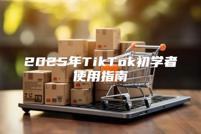 2025年TikTok初学者使用指南