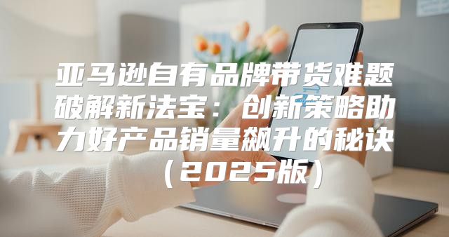 亚马逊自有品牌带货难题破解新法宝：创新策略助力好产品销量飙升的秘诀2025版