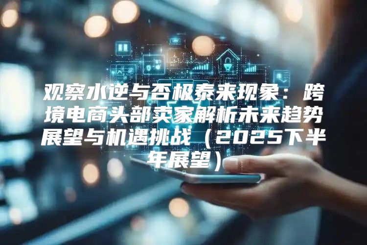 观察水逆与否极泰来现象：跨境电商头部卖家解析未来趋势展望与机遇挑战2025下半年展望