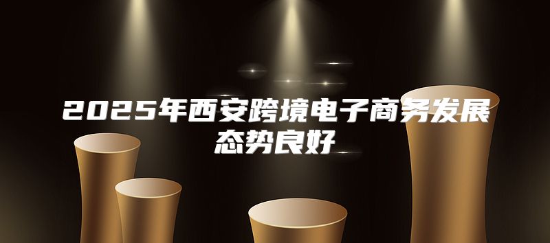 2025年西安跨境电子商务发展态势良好