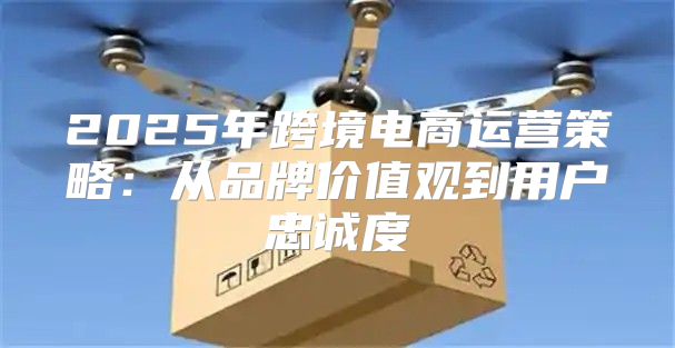 2025年跨境电商运营策略：从品牌价值观到用户忠诚度