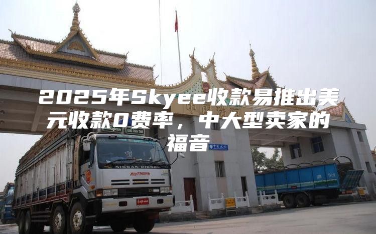 2025年Skyee收款易推出美元收款0费率，中大型卖家的福音