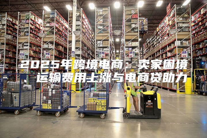2025年跨境电商：卖家困境、运输费用上涨与电商贷助力