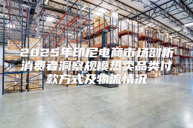 2025年印尼电商市场剖析消费者洞察规模热卖品类付款方式及物流情况