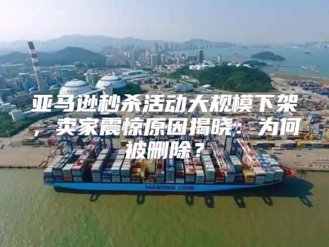亚马逊秒杀活动大规模下架，卖家震惊原因揭晓：为何被删除？