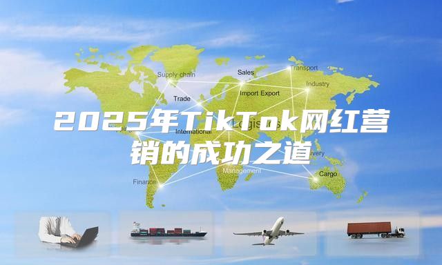 2025年TikTok网红营销的成功之道