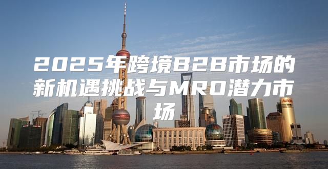 2025年跨境B2B市场的新机遇挑战与MRO潜力市场