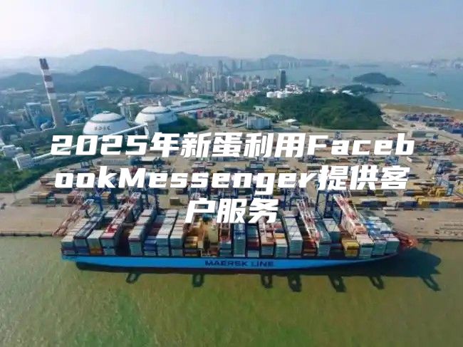 2025年新蛋利用FacebookMessenger提供客户服务