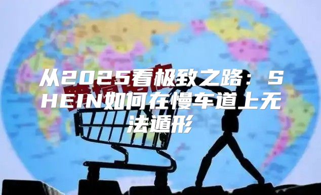 从2025看极致之路：SHEIN如何在慢车道上无法遁形