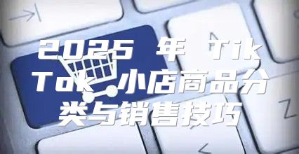 2025 年 TikTok 小店商品分类与销售技巧