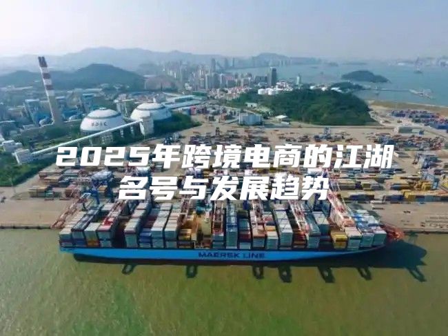 2025年跨境电商的江湖名号与发展趋势