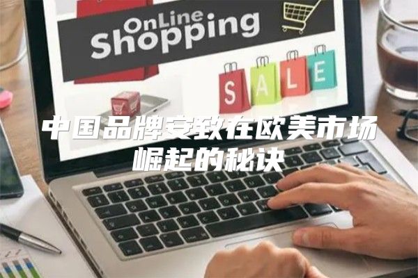 中国品牌安致在欧美市场崛起的秘诀