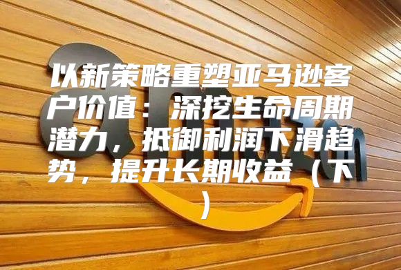 以新策略重塑亚马逊客户价值：深挖生命周期潜力，抵御利润下滑趋势，提升长期收益下
