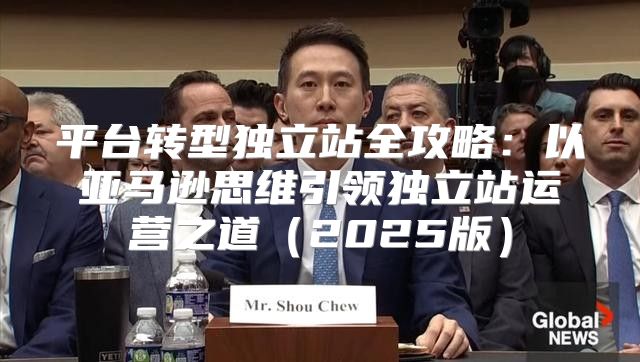 平台转型独立站全攻略：以亚马逊思维引领独立站运营之道2025版