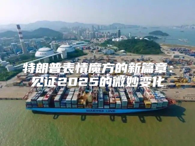 特朗普表情魔方的新篇章：见证2025的微妙变化