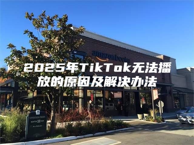 2025年TikTok无法播放的原因及解决办法
