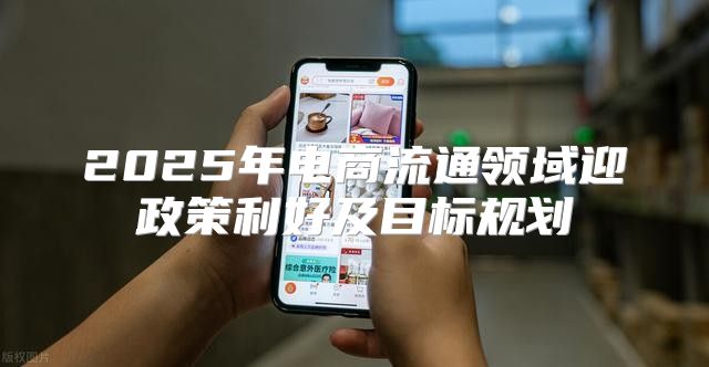 2025年电商流通领域迎政策利好及目标规划