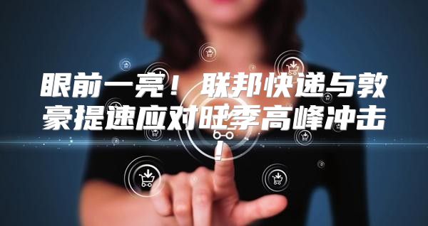 眼前一亮！联邦快递与敦豪提速应对旺季高峰冲击！