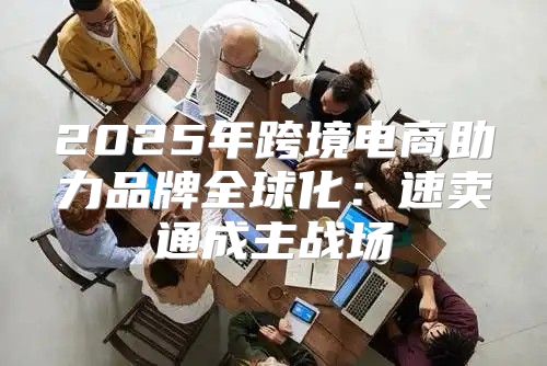2025年跨境电商助力品牌全球化：速卖通成主战场