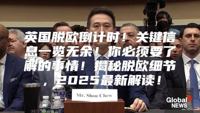 英国脱欧倒计时！关键信息一览无余！你必须要了解的事情！揭秘脱欧细节，2025最新解读！