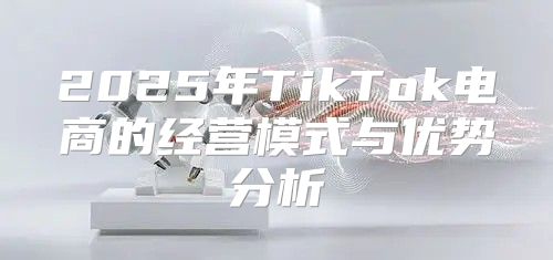 2025年TikTok电商的经营模式与优势分析
