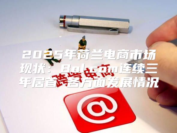 2025年荷兰电商市场现状：Bol.com连续三年居首 各方面发展情况