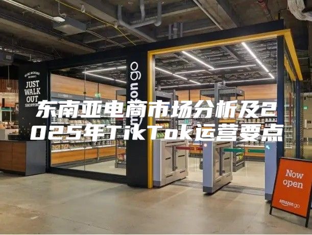 东南亚电商市场分析及2025年TikTok运营要点