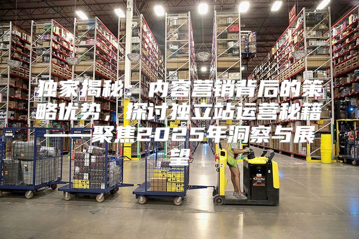 独家揭秘：内容营销背后的策略优势，探讨独立站运营秘籍——聚焦2025年洞察与展望