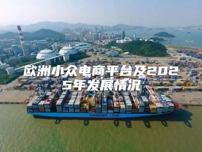 欧洲小众电商平台及2025年发展情况