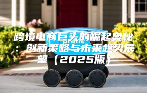 跨境电商巨头的崛起奥秘：创新策略与未来趋势展望2025版