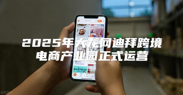 2025年大龙网迪拜跨境电商产业园正式运营